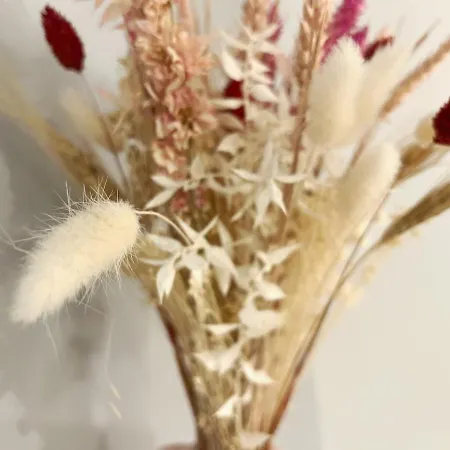 Aristide Briand נאנט