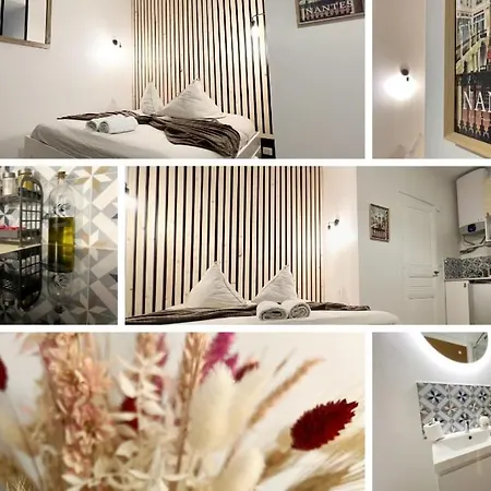 Aristide Briand 南特