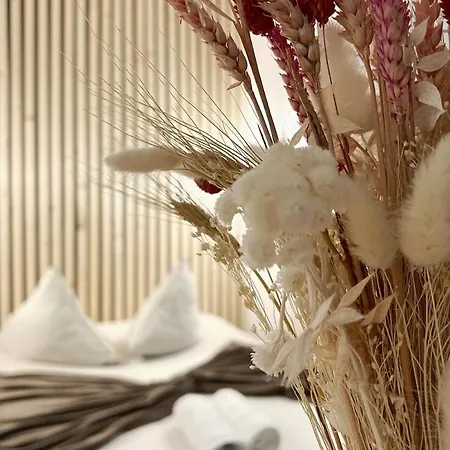 דירה Aristide Briand נאנט