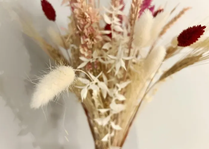 Aristide Briand Nantes