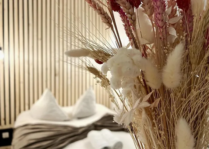 Apartamento Aristide Briand Nantes